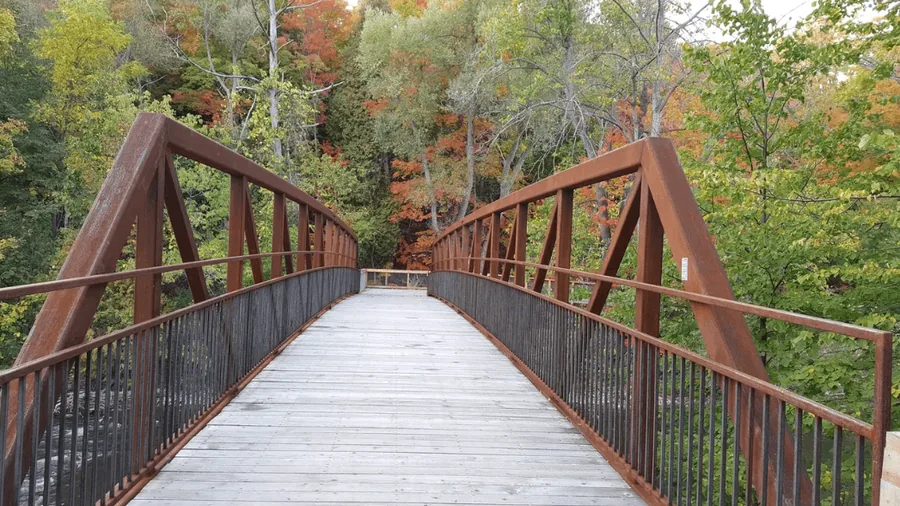 Phyllis Rawlinson Park nature trails and wooden bridge